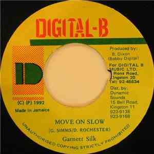 Garnett Silk - Move On Slow download mp3