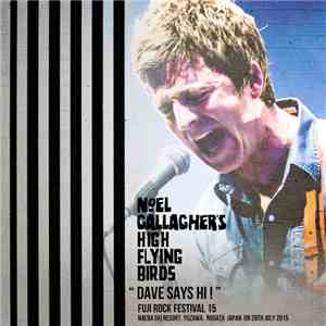 Noel Gallagher's High Flying Birds - Dave Says Hi mp3 download