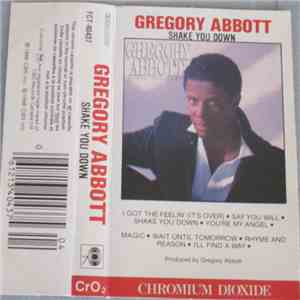 Gregory Abbott - Shake You Down download mp3