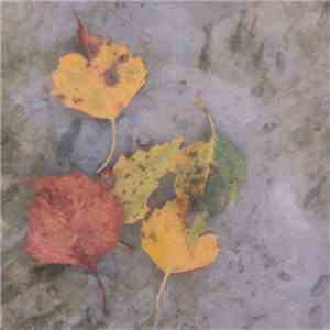 Jasper Leyland - Fieldstone download mp3