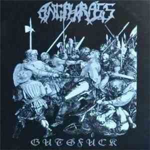 Antiphrasis - Gutsfuck mp3 download