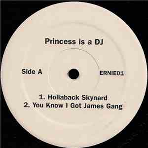 Princess Is A DJ - Untitled download mp3