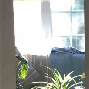 Birdfeeders - The Sun Room download mp3