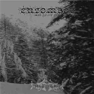 Ensomhet 19.84 - Hiems Gelida mp3 download