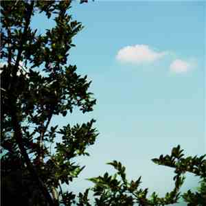 Ghostlight  - ぼくらの download mp3