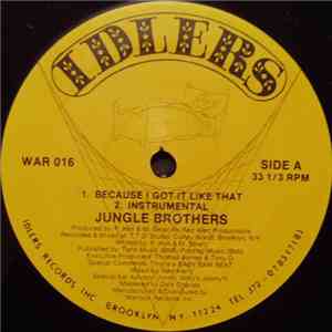 Jungle Brothers - Because I Got It Like That download mp3