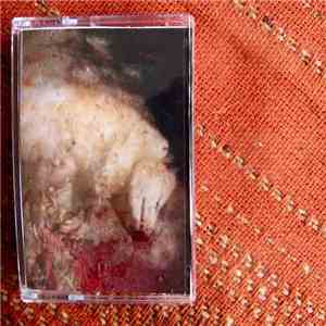 Andy Loebs - Hibernation Sickness download mp3