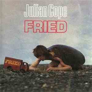 Julian Cope - Fried download mp3