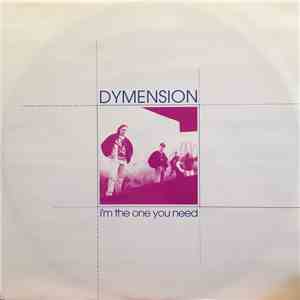 Dymension - I'm The One You Need download mp3
