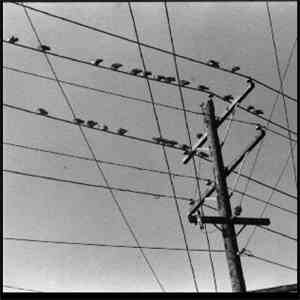 T.D. Reisert - Conneaut mp3 download