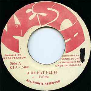 Cobra - Fat Fluff download mp3