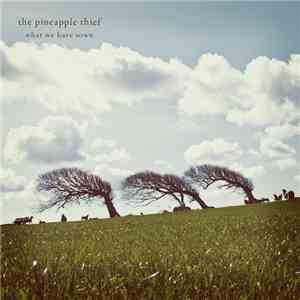 The Pineapple Thief - What We Have Sown download mp3