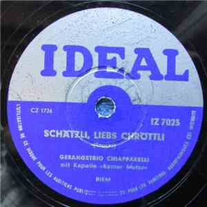 Gesangstrio Chiapparelli, Kapelle Berner Mutze - Schätzli, Liebs Chröttli / Lueg Doch Nöd So Trurig Dri download mp3