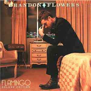 Brandon Flowers - Flamingo download mp3