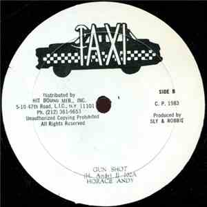 Horace Andy - Gun Shot mp3 download
