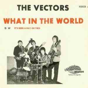 The Vectors - What In The World download mp3