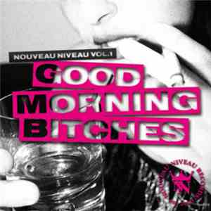 Tom Novy - Good Morning Bitches - Nouveau Niveau Vol. 1 download mp3