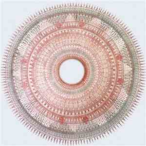 Tiago Sousa - Walden Pond's Monk download mp3