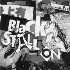 Dotåbåtå - Black Stallion download mp3