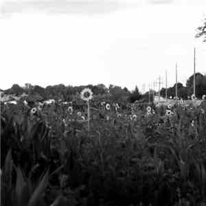 Sleeping Weather - Disconnect download mp3