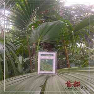 维新噩梦工厂 - 催眠疗法 download mp3