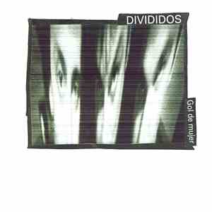 Divididos - Gol De Mujer download mp3