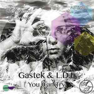 Gastek & L.D.F. - You Can Try download mp3