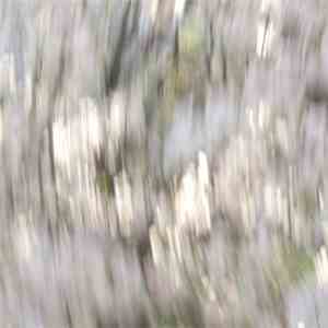 Millipede - The Lower World download mp3