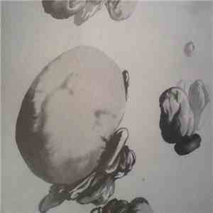 Doubled Yellow Swans - Global Clone download mp3
