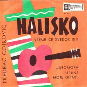 Predrag Gojković - Halisko download mp3