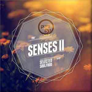 Various - Pure Senses II - Selected Soulfood download mp3