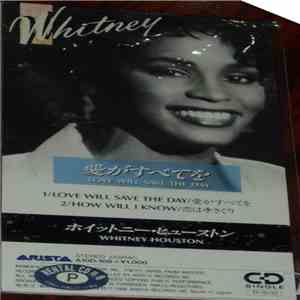 Whitney - Love Will Save The Day download mp3