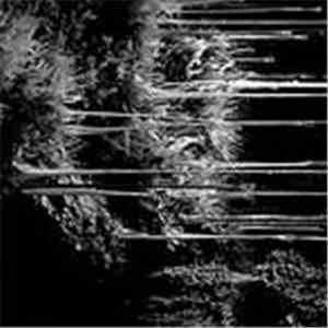 Kuupuu / Umpio - Kuupuu / Umpio download mp3