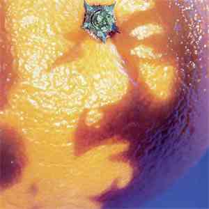 Phish - A Picture Of Nectar download mp3