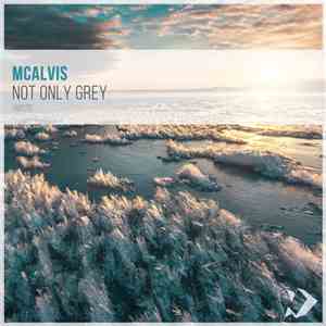 McAlvis - Not only grey download mp3