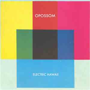 Opossom - Electric Hawaii download mp3