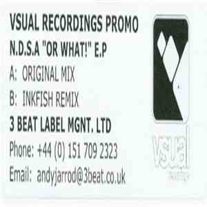 N.D.S.A. - Or What! E.P download mp3