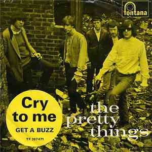 The Pretty Things - Cry To Me download mp3