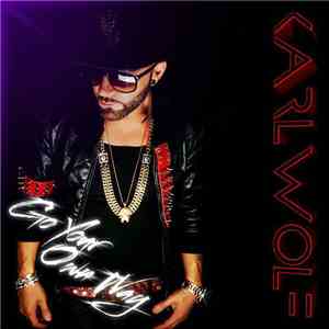 Karl Wolf - Go Your Own Way mp3 download