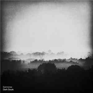 Saimonse - Dark Souls download mp3