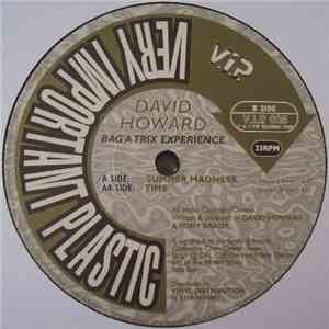 David Howard - Bag A Trix Experience download mp3