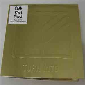 Yeah Yeah Yeahs - Turn Into download mp3