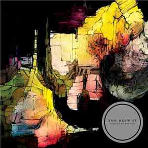 You Blew It! - Pioneer Of Nothing download mp3