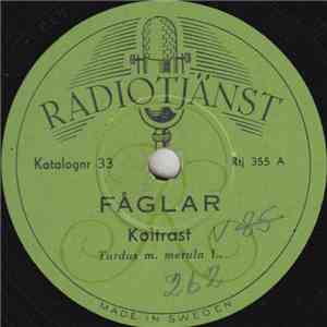 No Artist - Fåglar download mp3