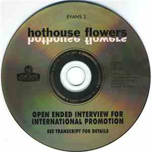 Hothouse Flowers - Open Ended Interview For International Promotion mp3 download