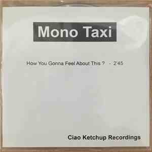 Mono Taxi - How You Gonna Feel About This? download mp3