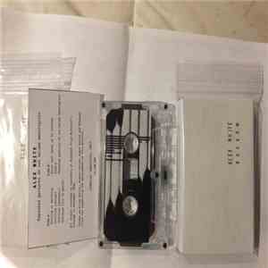 Alex White  - Repeated Gestures Do Not Become Meaningless download mp3