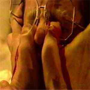 Yorba Zergot - Wish Politix download mp3