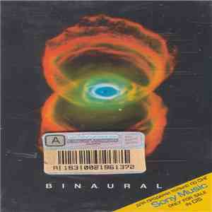 Pearl Jam - Binaural download mp3