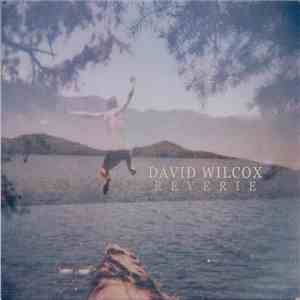 David Wilcox - Reverie download mp3
